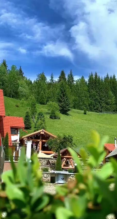 Casa Anghel Villa Bilbor Exteriör bild