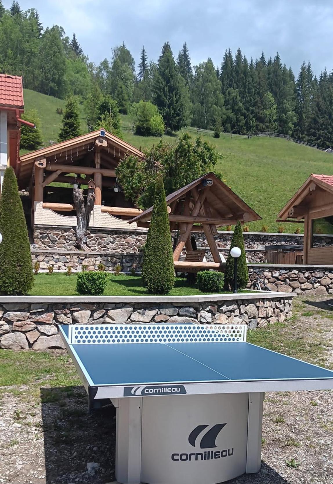 Casa Anghel Villa Bilbor Exteriör bild
